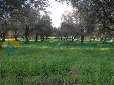 Terreno agricolo in vendita in C.da Piano Milo, Canicattini Bagni