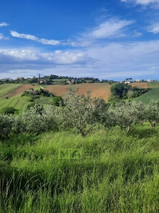 Terreno in vendita, Montegranaro santa leandra