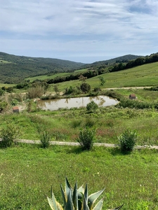 Vendita Appartamento, in zona NIBBIAIA, ROSIGNANO MARITTIMO