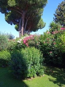 Vendita Villa a schiera, in zona SAN LUIGI, FOLLONICA