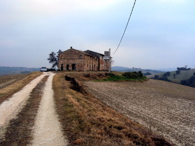 Terreno Agricolo da ristrutturare a Mondavio