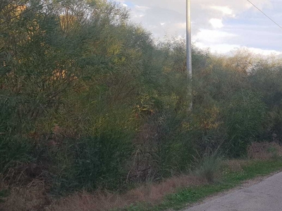 Terreno Agricolo in vendita, Siracusa belvedere citt? giardino