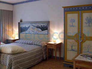 Appartamento Bilocale in ottime condizioni in vendita a Tarvisio