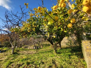 Casa in vendita in Ogliastro Cilento, Italia