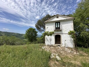 Casa su 3 livelli con 1000 alberi di ulivo e 6 ettari di terreno