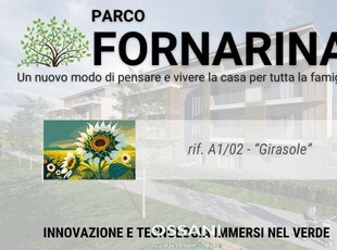 FAENZA - ZONA FORNARINA