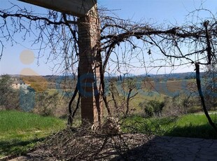 Rustico casale da ristrutturare in vendita a Castellina In Chianti