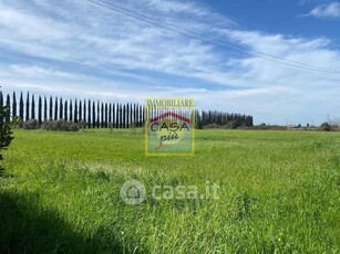 Rustico/Casale in Vendita in Via Fosso Nuovo a Cascina