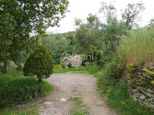 Rustico con giardino a Vezzano Ligure