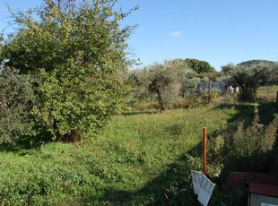 Terreno agricolo in Vendita a Rocca Priora