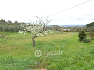 Terreno agricolo in Vendita in a Casciana Terme Lari