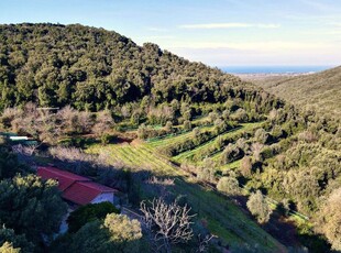 Vendita Rustico casale, CAMPIGLIA MARITTIMA