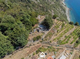 Vendita Rustico casale, RIOMAGGIORE