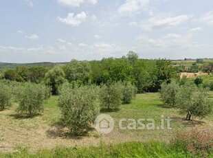 Villa in Vendita in a Peccioli