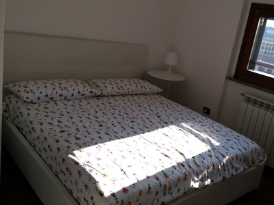 Camera matrimoniale in affitto in appartamento con 5 camere da letto a Milano