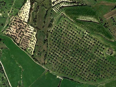 terreno agricolo in vendita a Villanovafranca