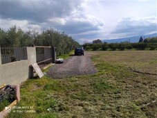 Agricolo - Seminativo a Corigliano-Rossano