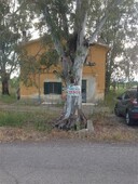 Indipendente - Bifamiliare a Bruscate Piccola, Cassano allIonio