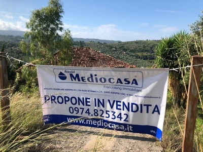 Rustico in Contrada Maddalena, Ogliastro Cilento, arredato, 12000 m²