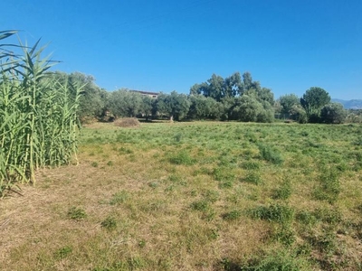 terreno agricolo in vendita a Milazzo