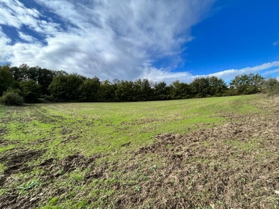 terreno agricolo in vendita a Sorano