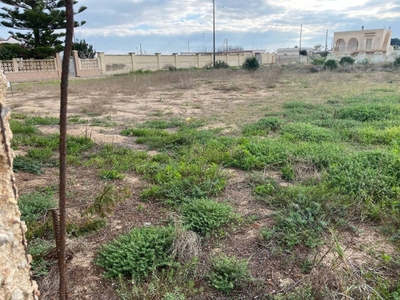 Terreno Agricolo in vendita a Manduria via Marettimo