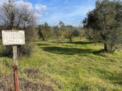 Terreno Residenziale in vendita a Monte San Giovanni Campano reggimento