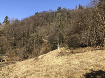 Terreno Residenziale in vendita a Montegrino Valtravaglia