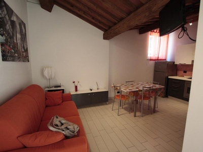 Bilocale in Affitto a Lucca, zona San Marco, 700€, 50 m², arredato