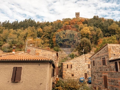 Casa Indipendente in vendita a Radicofani via dei forni, snc