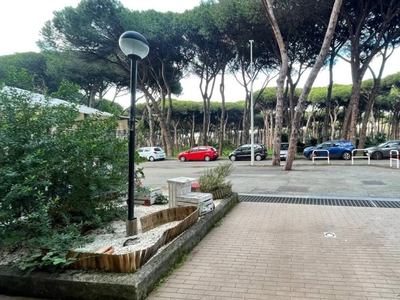 spazio commerciale in affitto a Roma