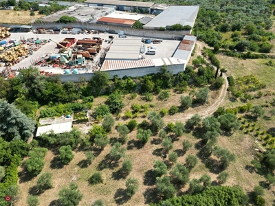 Terreno agricolo in Vendita in Strada Santa Caterina 31 a Bari