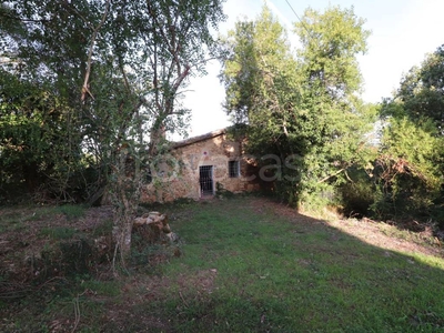 Villa in vendita a Monteriggioni castellina Scalo