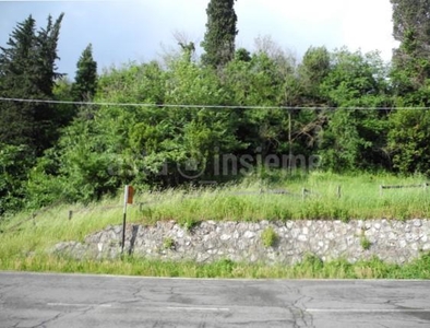 Terreno Agricolo in vendita a Buti