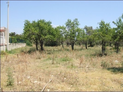 terreno agricolo in vendita a Fontane bianche