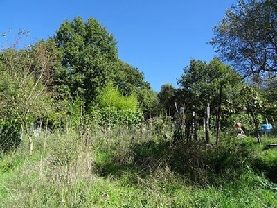 Terreno Agricolo in vendita a Manziana