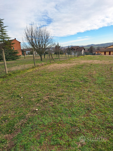 Terreno edificabile nelle colline del Monferrato