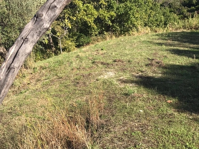 Terreno in vendita a Cicerale