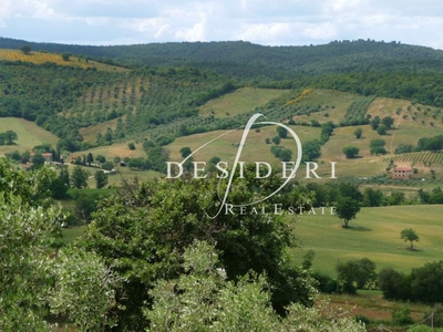 Terreno in vendita in localit? granaione, Campagnatico