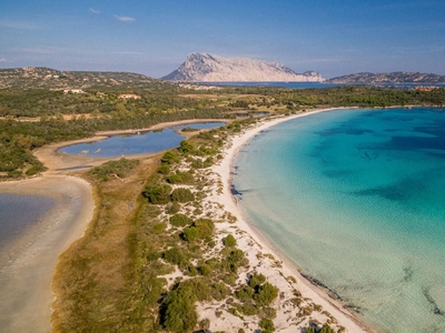 Villa Il Richiamo Di Gallura