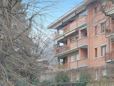 Appartamento con terrazzo, Torino madonna del pilone - sassi