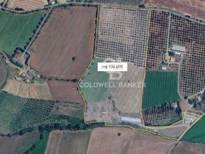 azienda agricola in vendita a Vetralla