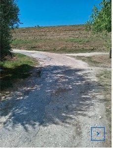 Terreno Agricolo in vendita a Cascina