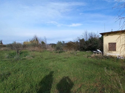 Terreno Agricolo in vendita a Grottaferrata