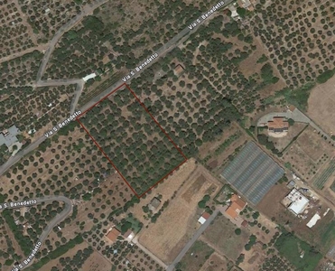 Terreno Agricolo in vendita a Terracina