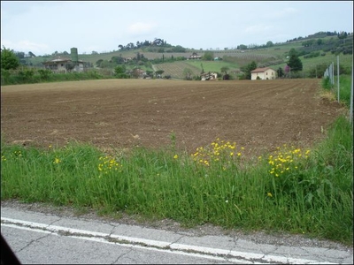 Terreno Agricolo in vendita in via madonnina di settecrociari, Cesena