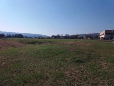 Terreno in vendita a Albinea