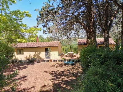 Terreno Agricolo in vendita a San Gimignano