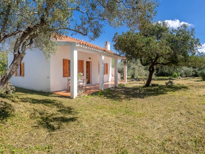 Casa a Porto Rotondo con terrazza coperta