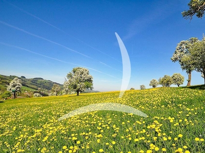 Azienda Agricola in Vendita a San Casciano in Val di Pesa